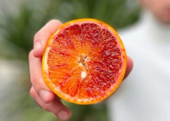 Freddo e basse difese immunitarie: come agisce l’alimentazione?