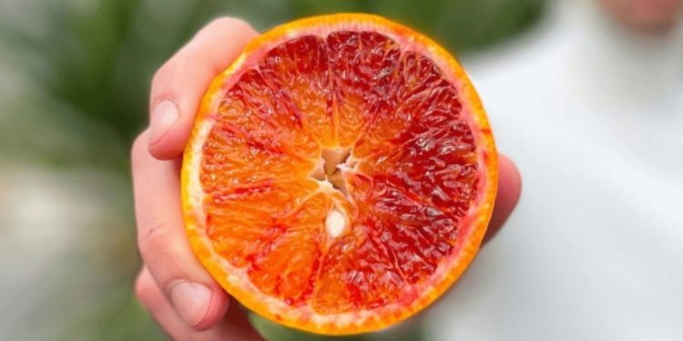 Freddo e basse difese immunitarie: come agisce l’alimentazione?