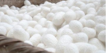 La seta riciclabile: un futuro sostenibile per la moda