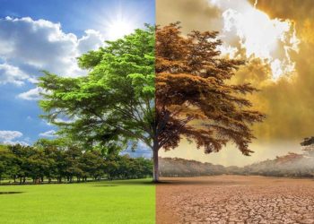 Dolori a causa del freddo: i tre livelli su cui agisce l’osteopatia