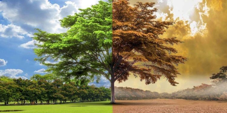 Dolori a causa del freddo: i tre livelli su cui agisce l’osteopatia