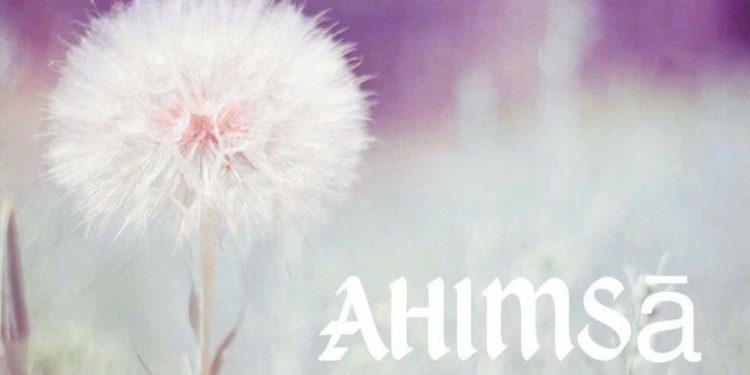 Ahimsa, la dottrina centrale della cultura indiana